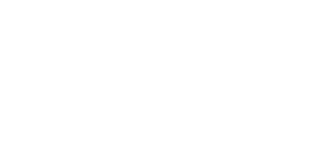 Logo Stroke